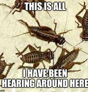 Image result for Cricket Bug Person Meme