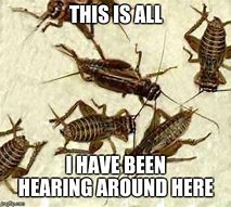 Image result for Cartoon Crickets Silence