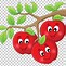 Image result for 2 Apples Carotoon