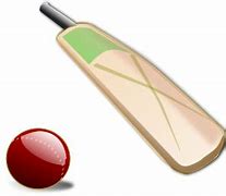 Image result for Kids Cricket PNG