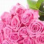 Image result for iPhone Wallpaper Flowers Rose