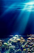 Image result for Dark Underwater Cell Phone Wallpaper