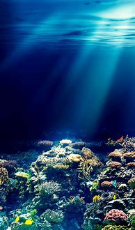 Image result for Underwater Backgrounds Beach