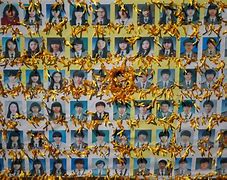 Image result for Sewol Ferry Bodies Recovered