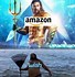 Image result for Funny Amazon Shopping Meme