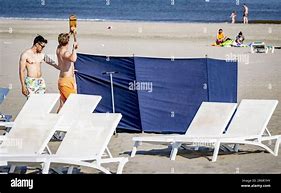 Image result for Beach Bathers Holland