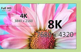 Image result for 8K Resolution TV