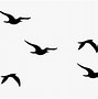 Image result for Bird Clip Art Black and White