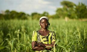 Image result for Africa Local Farmers