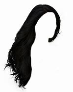 Image result for Clip Art with Transparent Background Hair Net