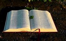 Image result for Scripture iPhone Backgrounds