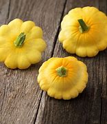 Image result for Round Yellow Squash