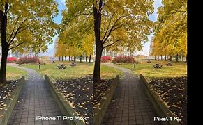 Image result for iPhone 11 Pro vs Google Pixel 4