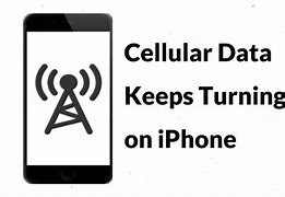 Image result for Switch Off Mobile Data iPhone