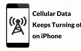 Image result for Cellular Data Turned Off iPhone