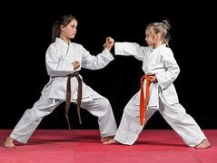 Image result for Karate Self-Defense