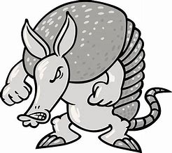Image result for Youth Armadillo Clip Art