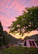 Image result for Camping at Bob Allison Picnic Ground NC