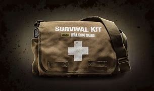 Image result for Walking Dead Zombie Kit