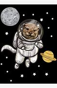 Image result for Outer Space Otter