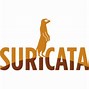 Image result for Suricata Packet Capture