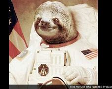 Image result for Sloth Space Marine