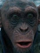Image result for Caesar Died Wars of the Planets of the Ape