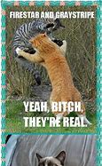Image result for Orange Cat Singing Meme
