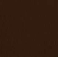 Image result for Sable Brown Color