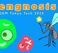 Image result for Tokyo Tech University