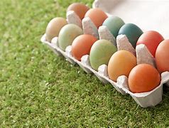 Image result for 12 Eggs