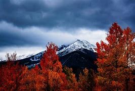 Image result for Cute Fall Wallpaper Backgrounds