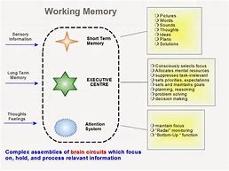 Image result for Working Memory