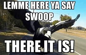 Image result for Flying Swoop Meme