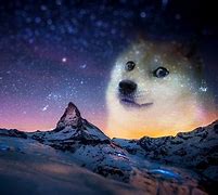 Image result for Space Doge