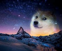 Image result for Cosmic Doge