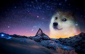 Image result for Doge Galaxy Meme 1080X1080