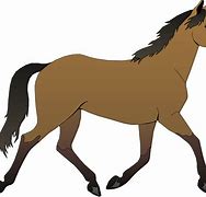 Image result for Horse Trainer Clip Art