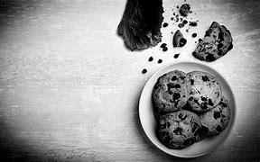 Image result for Cookies Loeschen Kruemelmonster