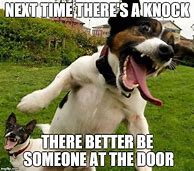 Image result for Knock Knock Meme Dog
