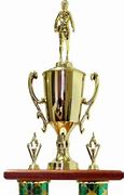 Image result for Sales Trophies
