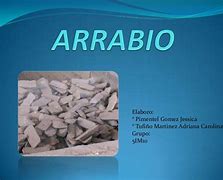 Image result for arraibo