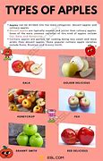 Image result for All Apple Types