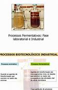Image result for fermentativo