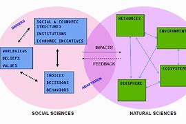 Image result for Similarities of Natural and Social Sciences