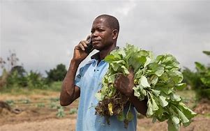 Image result for Peasant Farmer