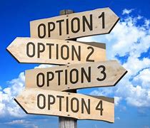 Image result for Option 1 or Two