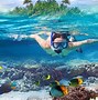 Image result for Best Places to Visit in Cancun Mexico