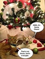 Image result for Mery Christmas Quotes Funny