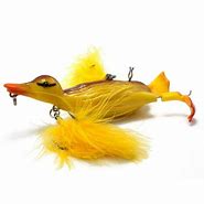 Image result for Duck Lure